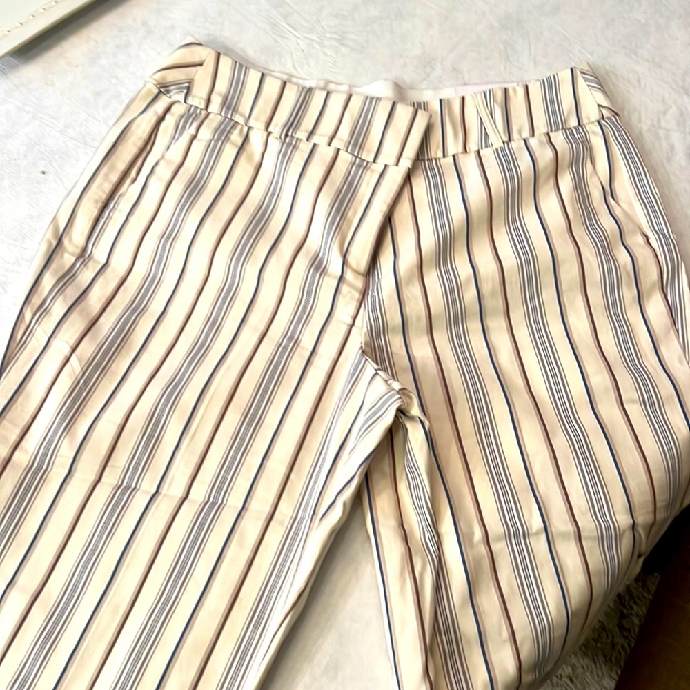 Lane Bryant plus size dress pants size 18.